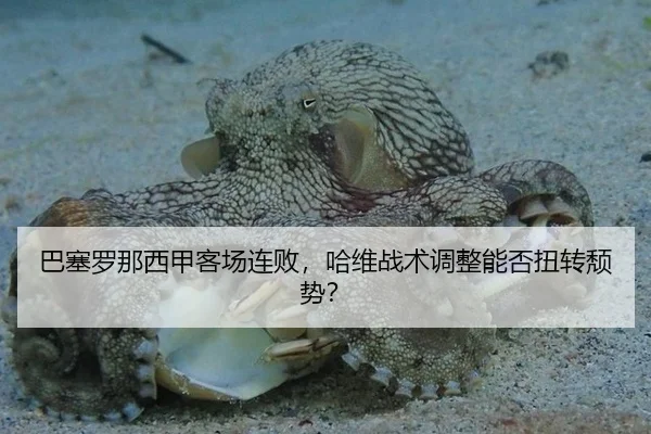巴塞罗那西甲客场连败，哈维战术调整能否扭转颓势？